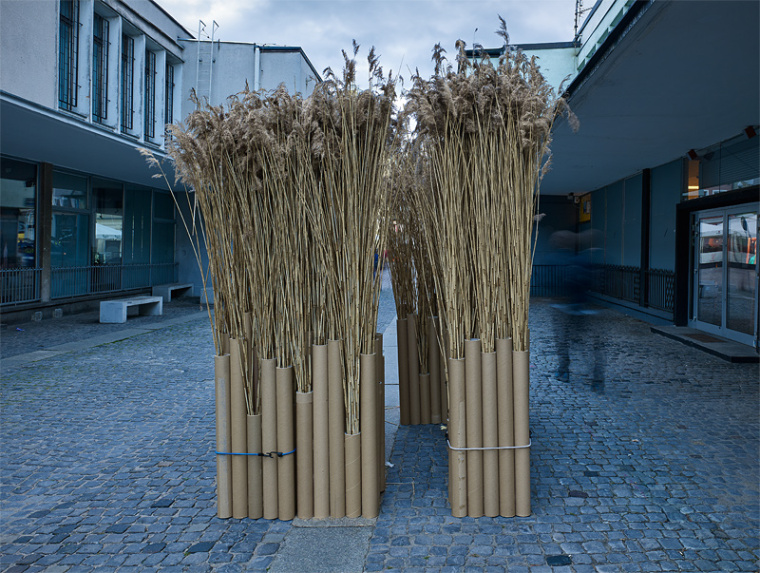 Szałas Ziółko, fot. Jeremi Buczkowski