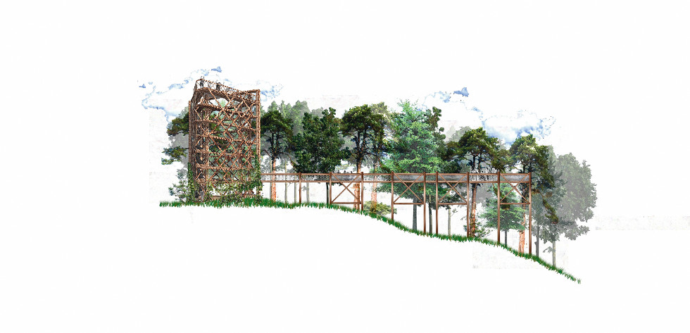Leśny Ogród Botaniczny w Gdyni
