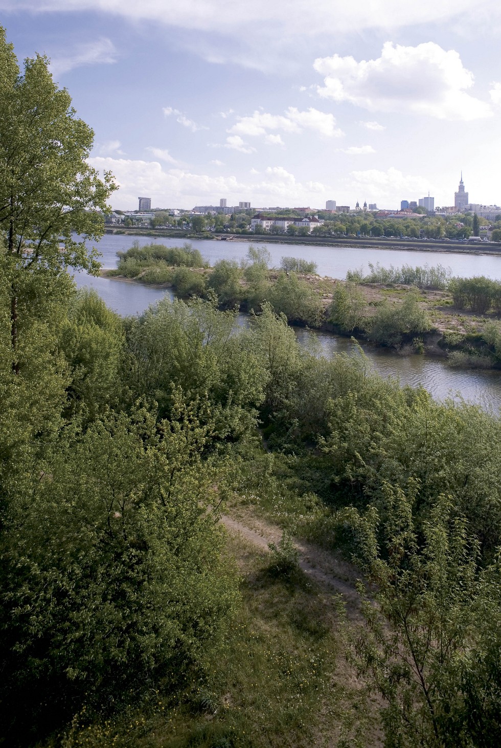 Dziki brzeg – rozmowa z Andrzejem Wajdą