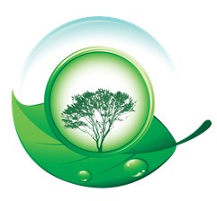 Ogród przydomowy - konkurs dla projektantów