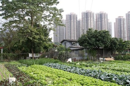 Ma Shi Po Village, Hong Kong, © Shu-Mei Huang