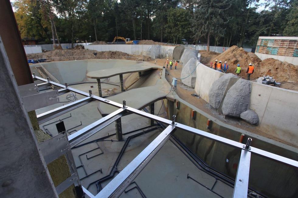 Basen Afrykarium we Wrocławiu. Fot. fotopolska.eu