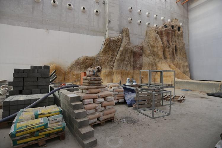 Budowa sztucznej ściany we wrocławskim Afrykarium 