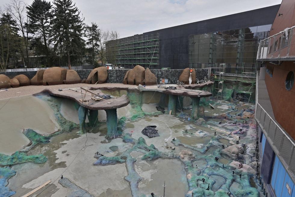 Afrykarium we Wrocławiu - budowa basenu zewnętrznego dla zwierząt