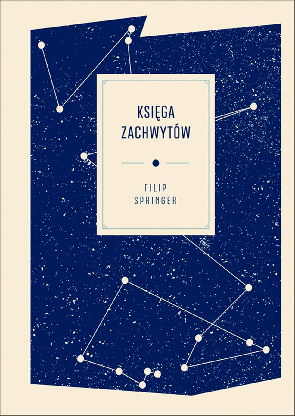 Filip Springer, Księga zachwytów