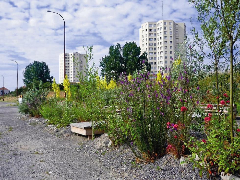Betonowy ogród