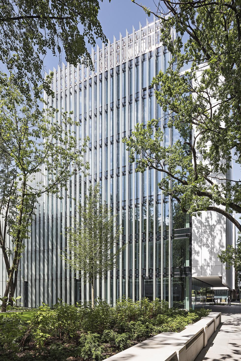 SZUCHA Premium Offices
