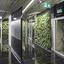 SZUCHA Premium Offices