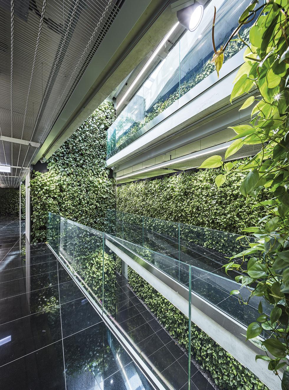 SZUCHA Premium Offices