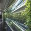 SZUCHA Premium Offices