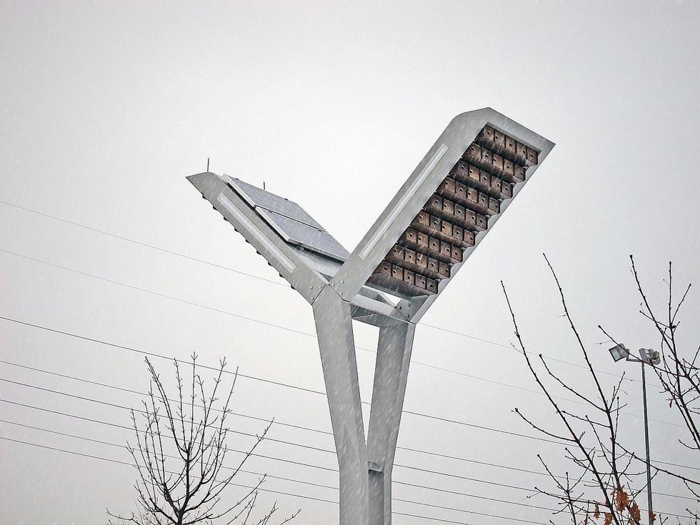 Architektura dla zwierząt