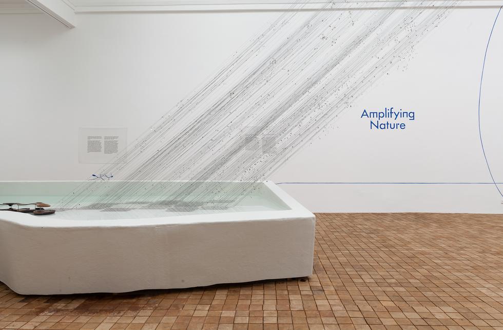 Amplifying_Nature_exhibition_fot_Anna_Zagrodzka-3