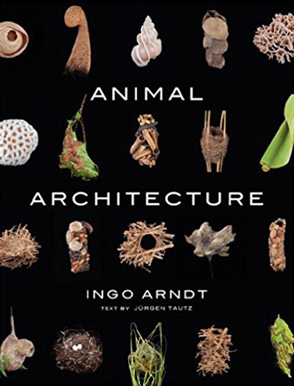 Animal Architecture