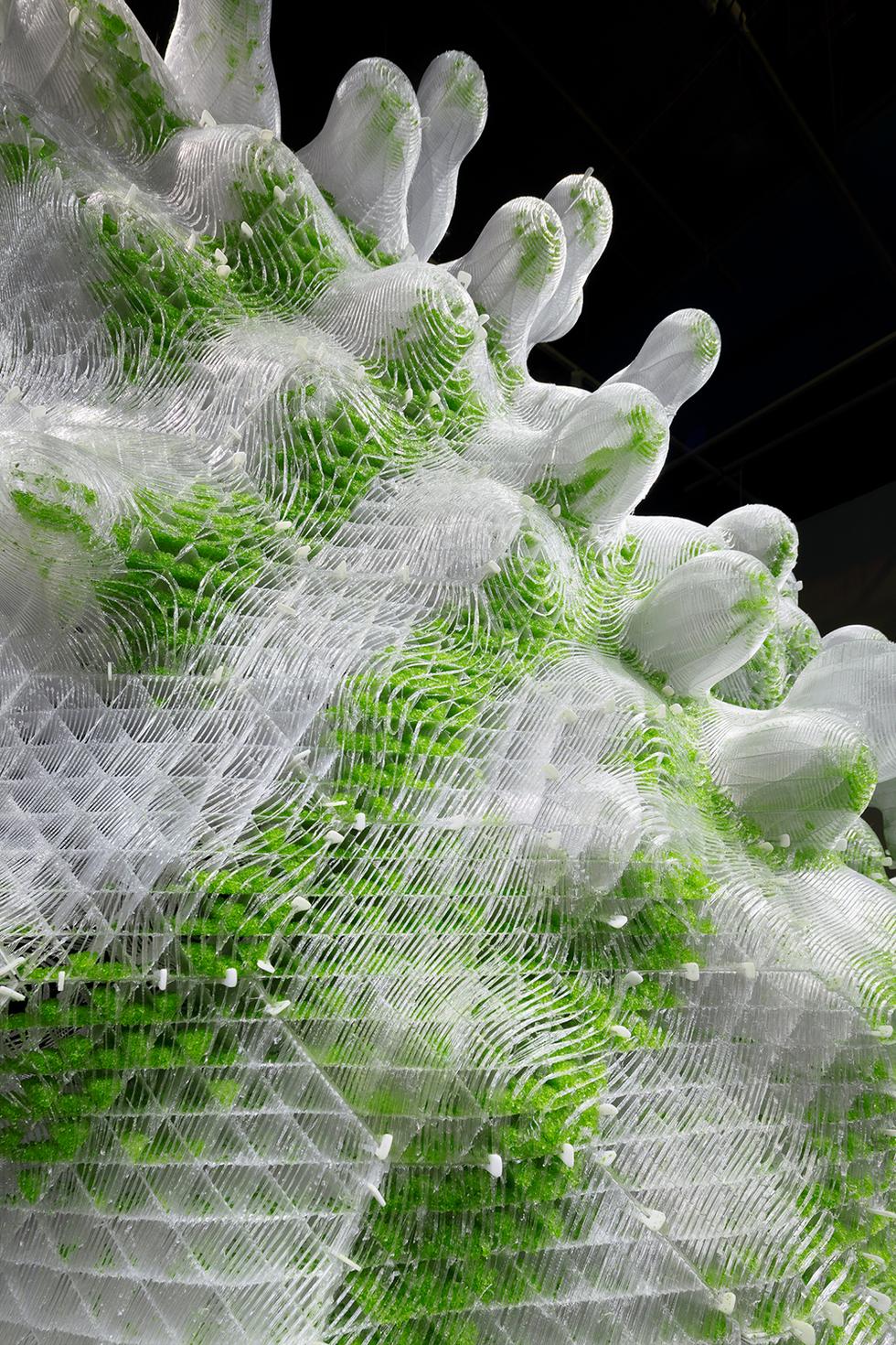 Bioarchitektura 2.0