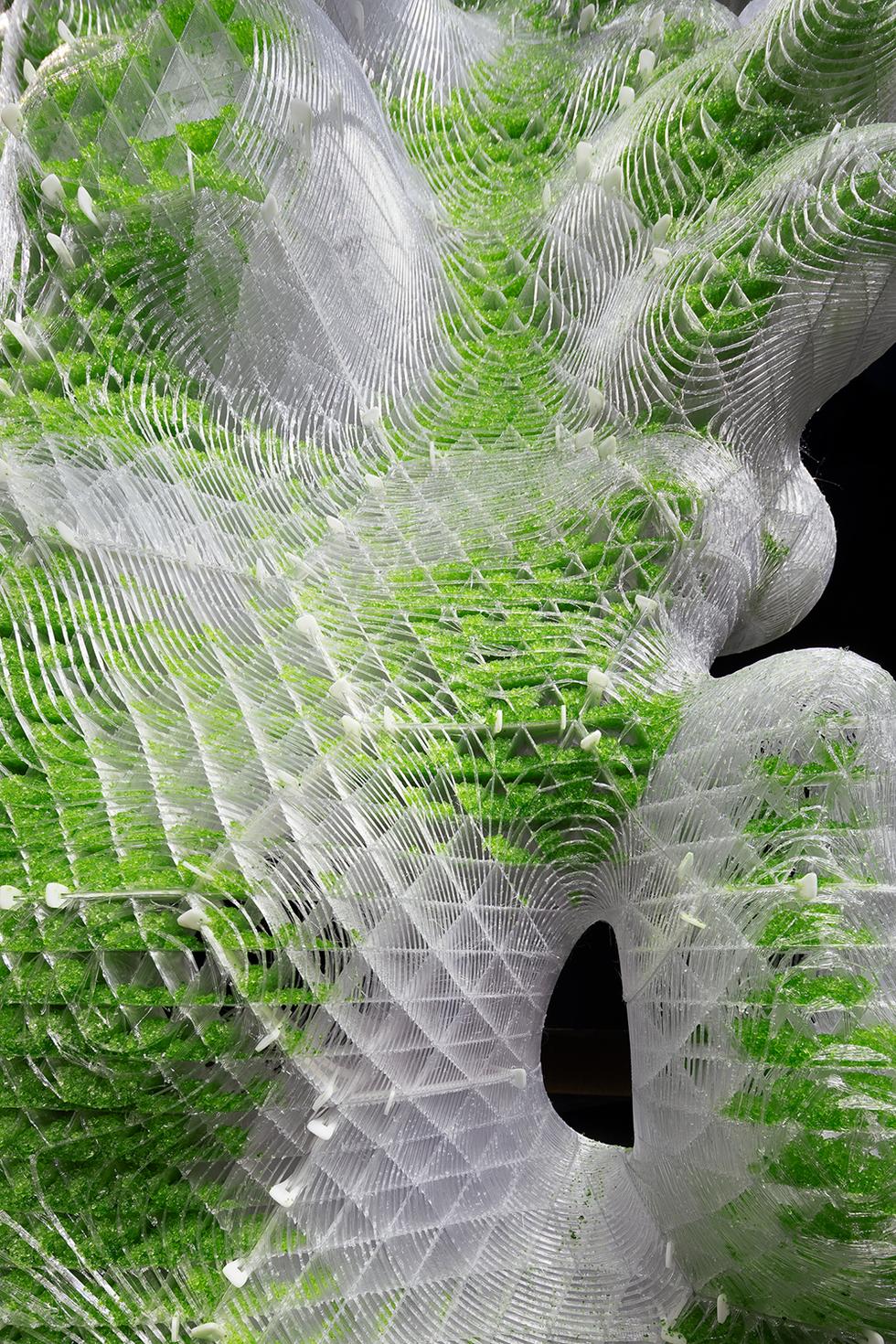 Bioarchitektura 2.0