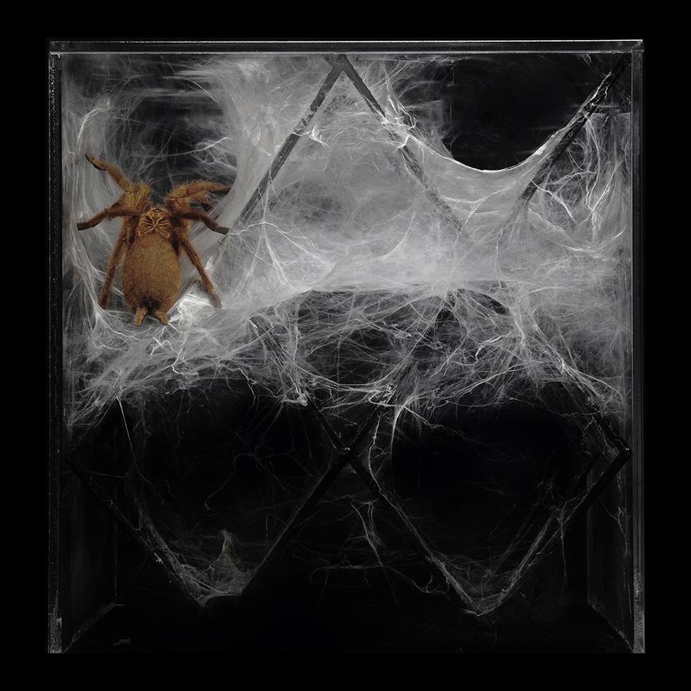 Bioarchitektura 2.0