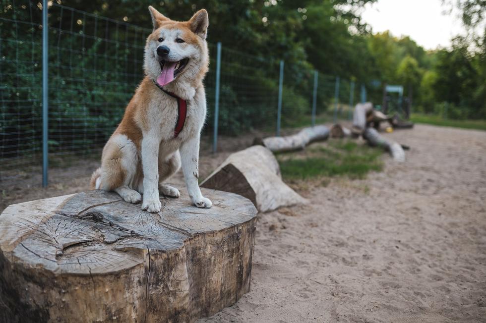 Mood for Wood 2019 – relacja z 5. edycji warsztatów studenckich w Poznaniu