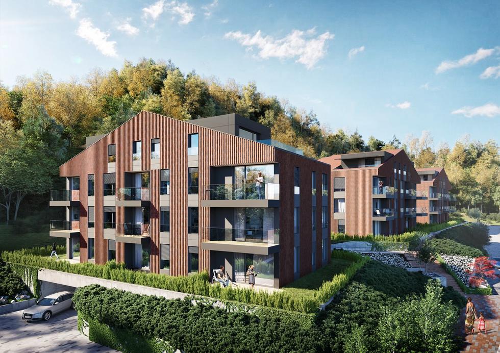 Oliva Koncept projektu Arch-Deco