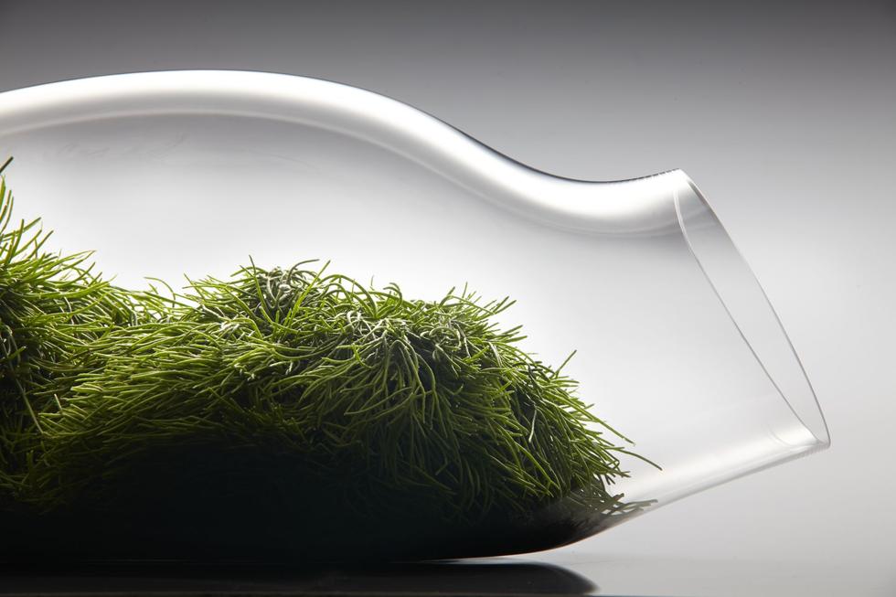 DtEA 2021 – wyniki konkursu Design that Educates Awards