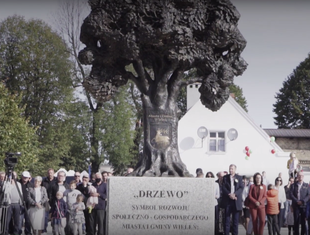 Pomnik Drzewa w Wieleniu: nowy trend rewitalizacji przestrzeni miejskiej? 