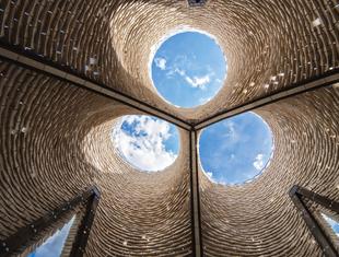 Grzybnia w architekturze