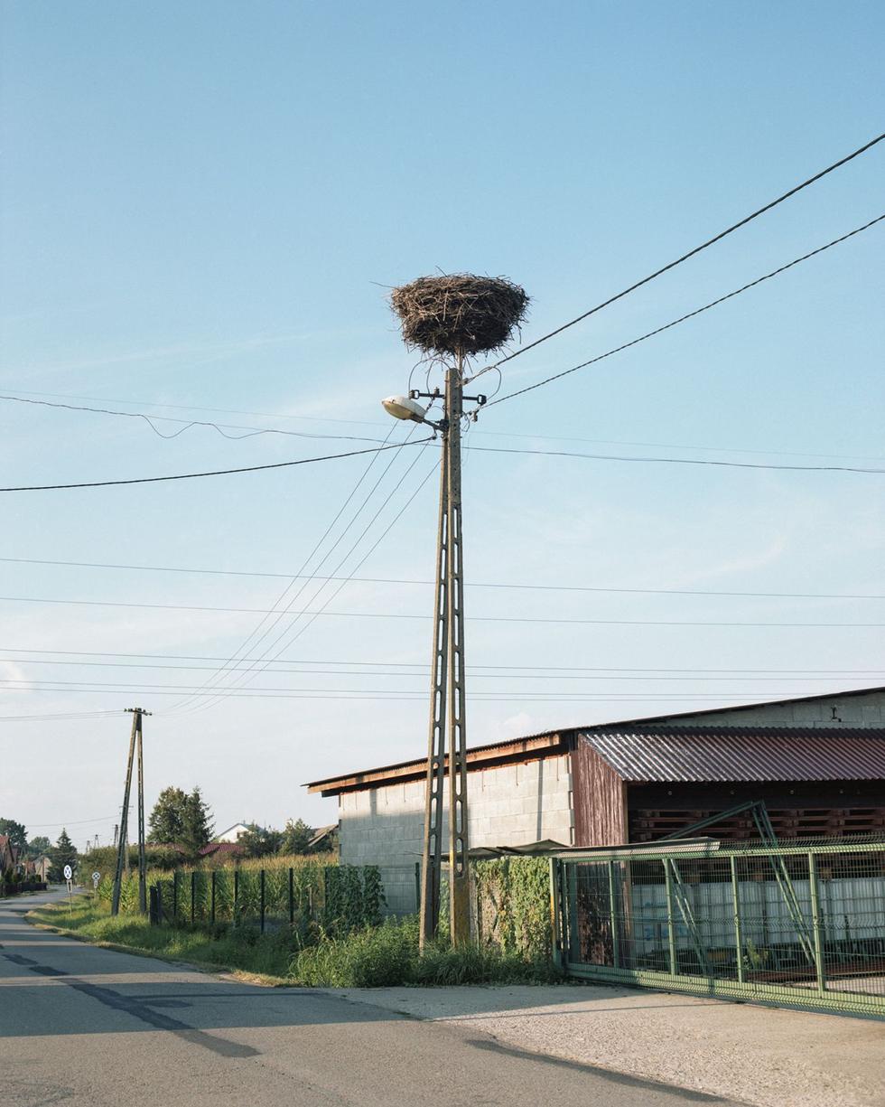 Trouble in Paradise: wenecka wystawa we Wrocławiu