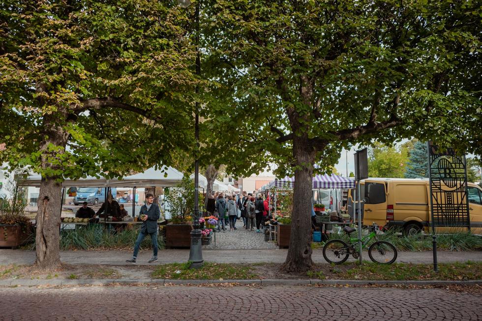 Najlepsze przestrzenie publiczne według TUP: 2022