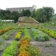 Przekierowanie, Edible Park by Nils Norman
