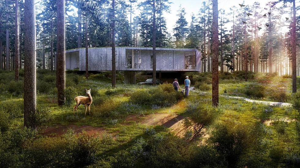 137 Kilo Architekci: projekt domu, wizualizacja